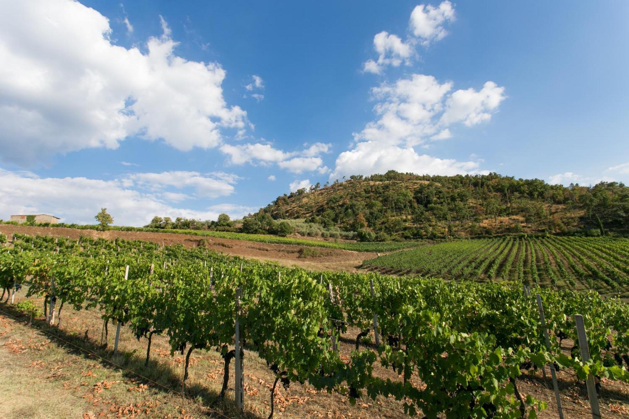Villa Rosano Greve in Chianti Buitenkant foto